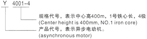 西安泰富西玛Y系列(H355-1000)高压YE2-280S-4三相异步电机型号说明